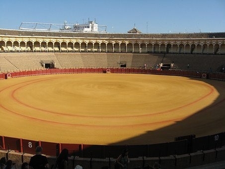 toros