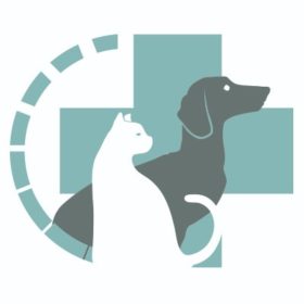CV Massavet