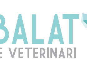 Centre Veterinari Albalat